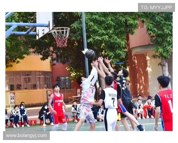 广州篮球队精英赛之路：拼搏与荣耀的奋斗故事