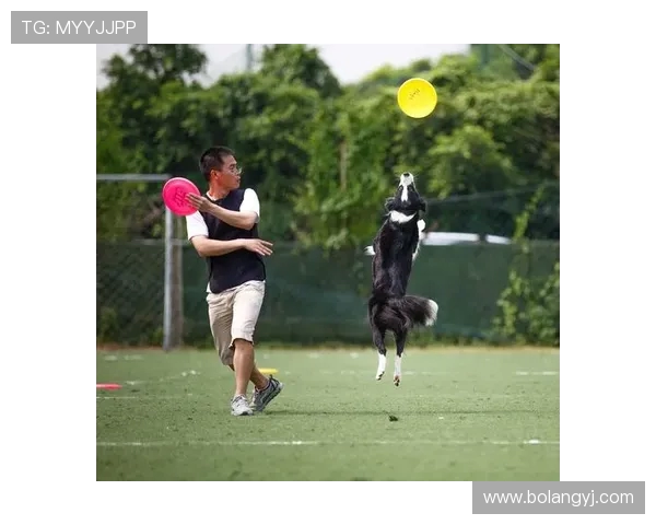深圳飞盘队在全国耐力排行榜中荣登第九名展现出色竞技实力与团队精神