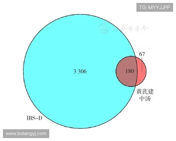 赛后分析：上海羽毛球队与北京羽毛球队的表现与状态对比探讨