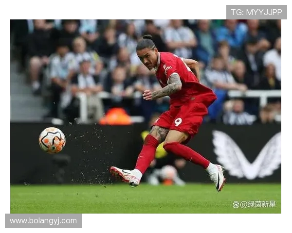 努涅斯的崛起与挑战：解析这位新星在足球界的影响力与未来潜力