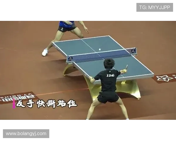 杭州乒乓球队区域防守创新探索与实践分析全面解读